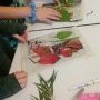 Réalisation des herbiers en classe